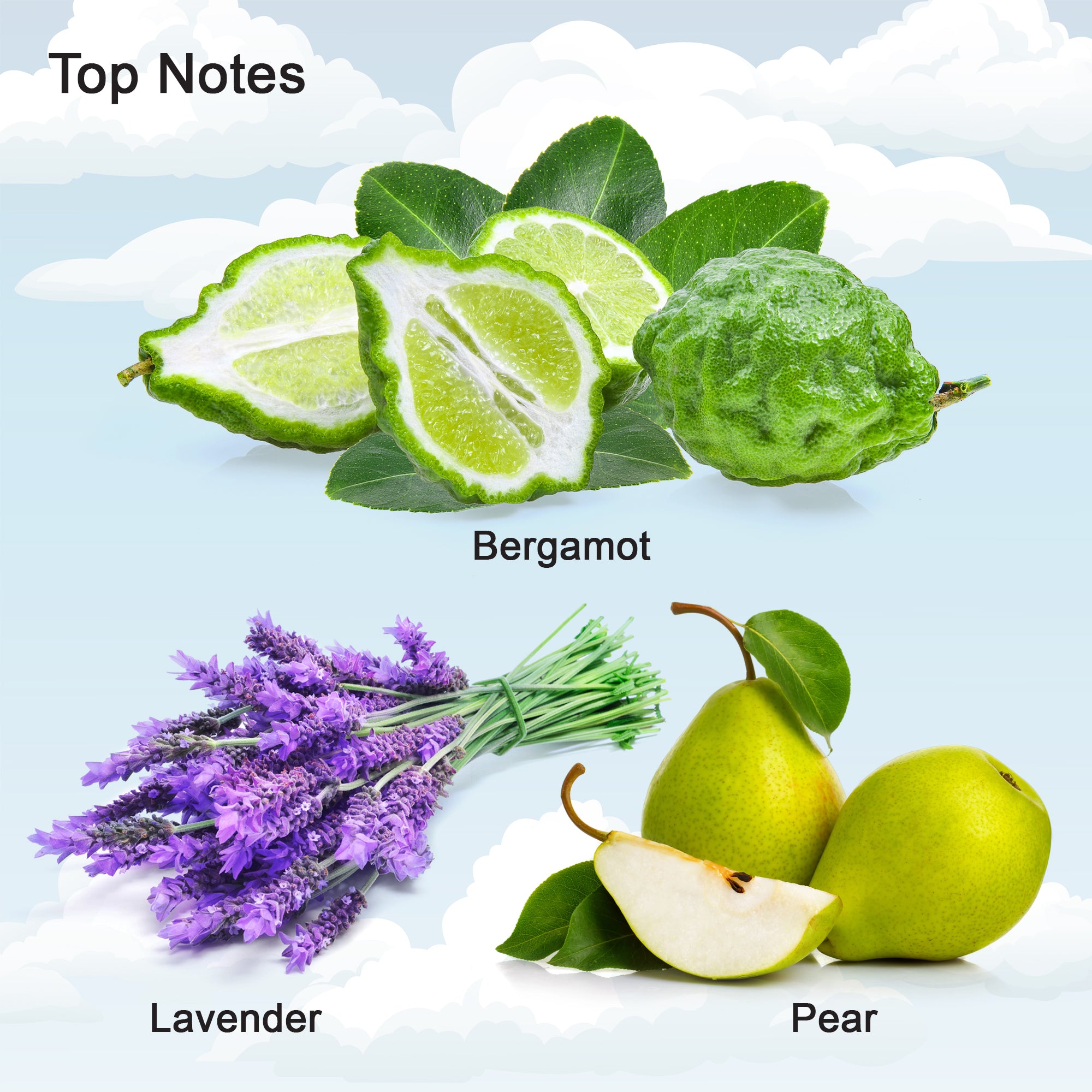 Soft Cloud Perfume 1.7 FL.OZ Vaporisateur Natural Spray Elegant Fragrance for Women