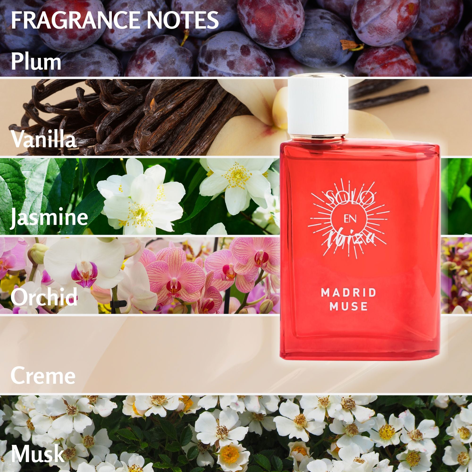 Solo En Ibiza Perfume 3.4 FL OZ – Long Lasting Fragrance for Women & Men, Luxury Scent Perfect for Everyday Wear, Gifting & Special Occasions