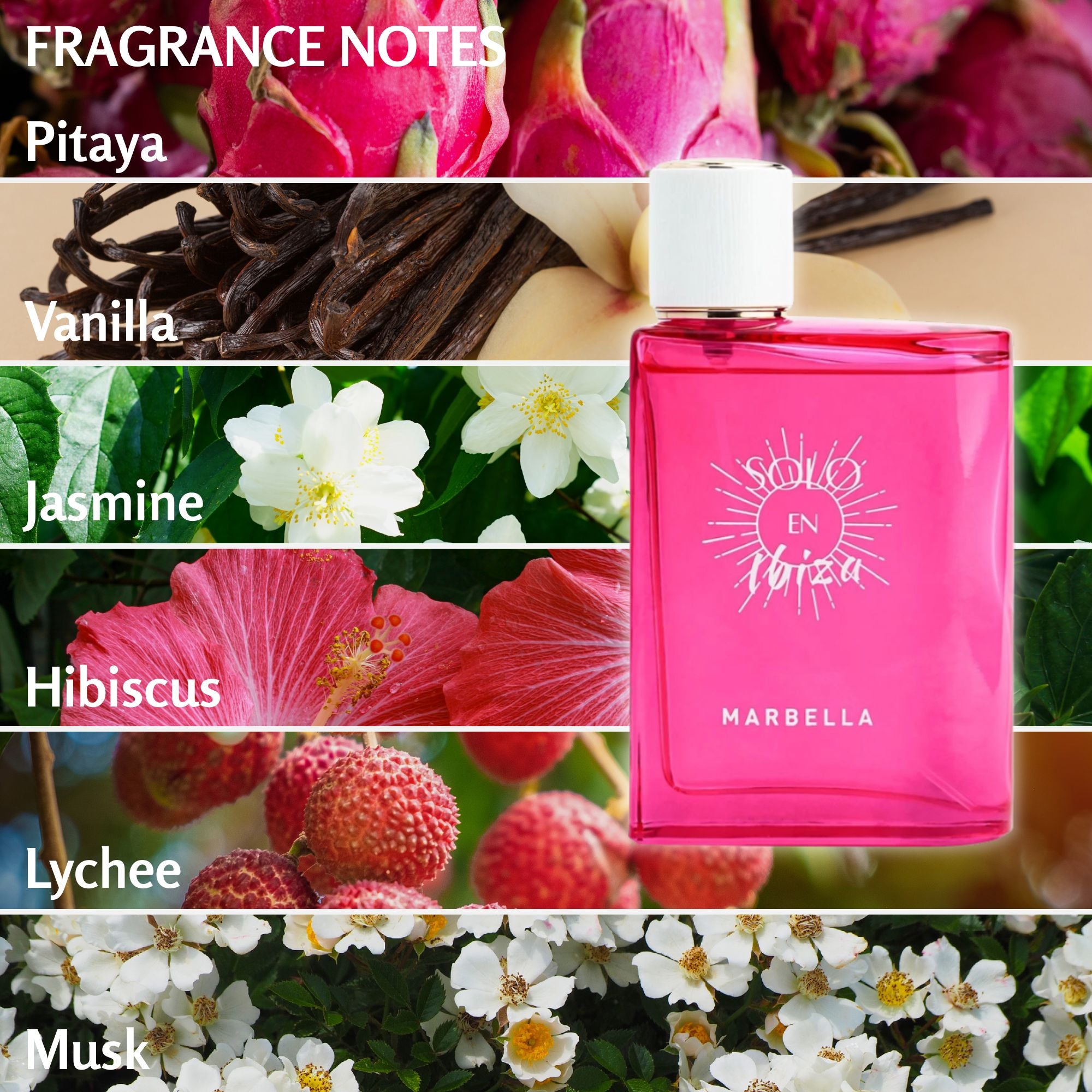 Solo En Ibiza Perfume 3.4 FL OZ – Long Lasting Fragrance for Women & Men, Luxury Scent Perfect for Everyday Wear, Gifting & Special Occasions