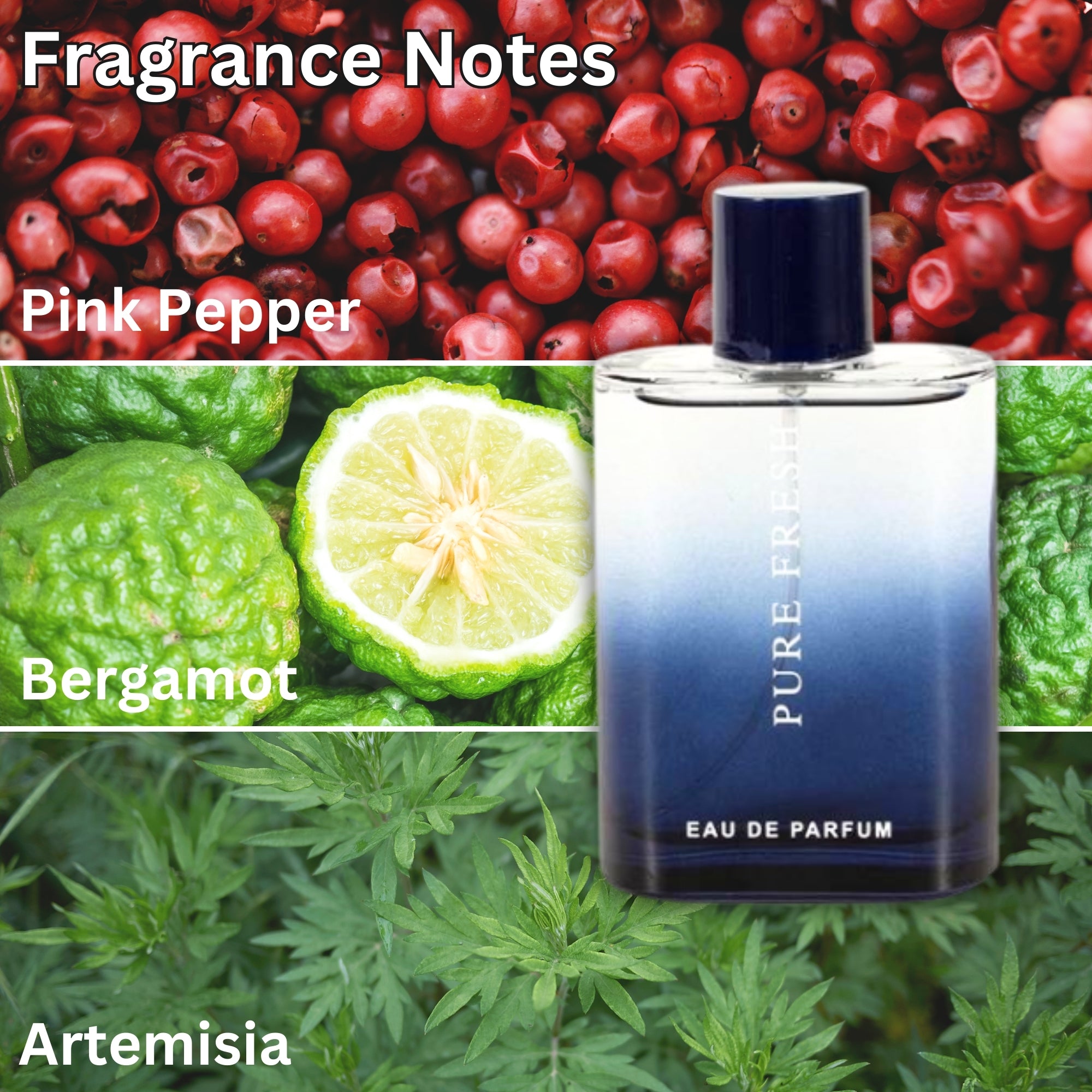 Pure Fresh Perfume 3.4FL.OZ for Men