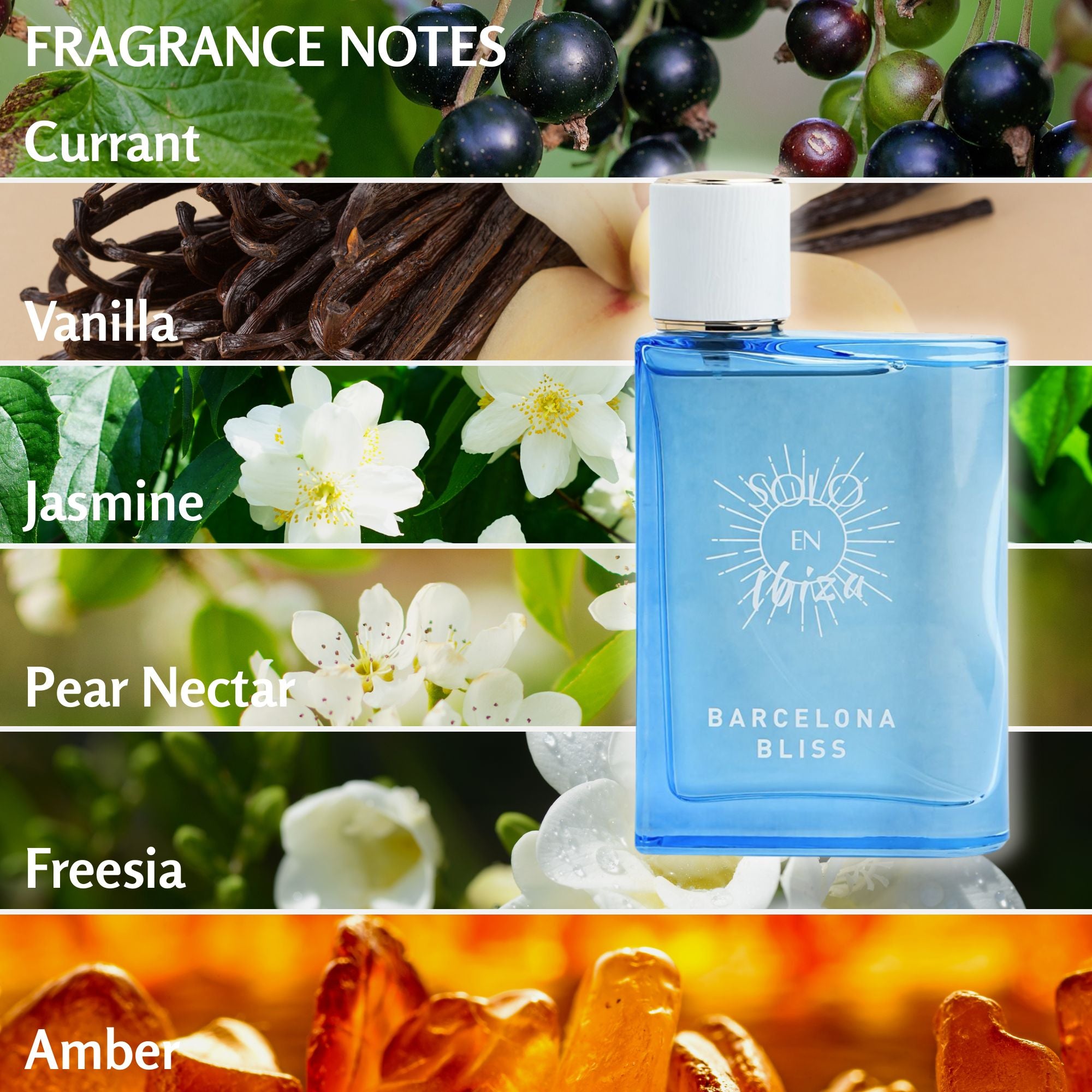 Solo En Ibiza Perfume 3.4 FL OZ – Long Lasting Fragrance for Women & Men, Luxury Scent Perfect for Everyday Wear, Gifting & Special Occasions