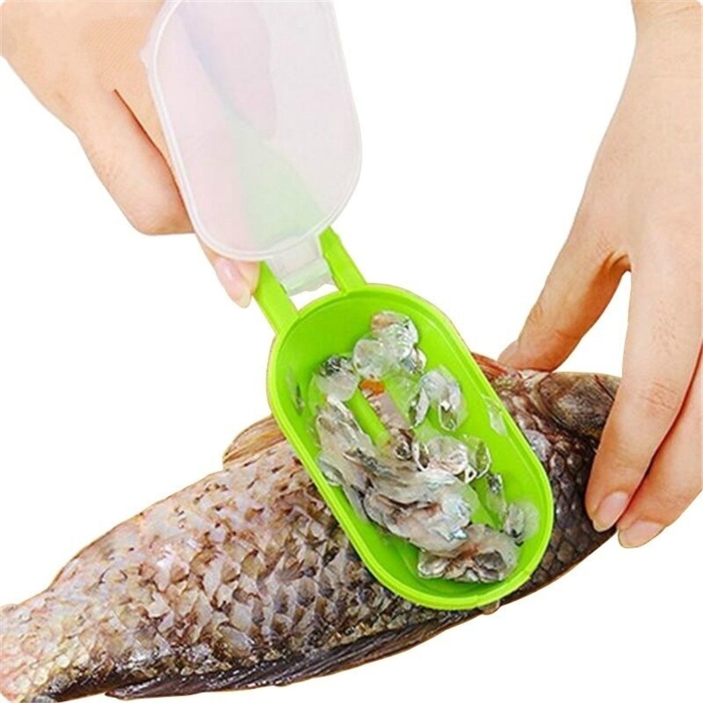 Fish Cleaning Scraping Scales With Knife