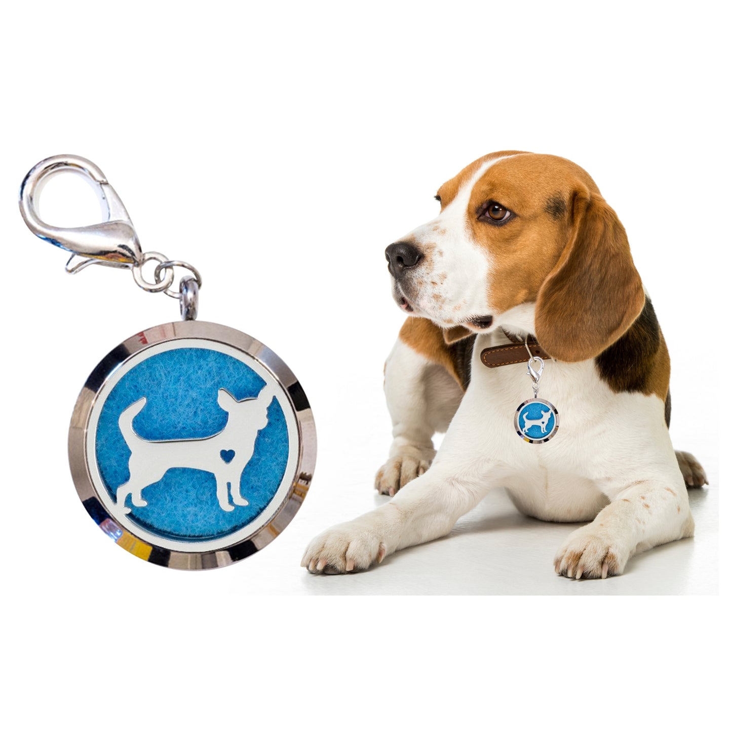 Pet Aromatherapy Necklace Diffuser Locket Pendant
