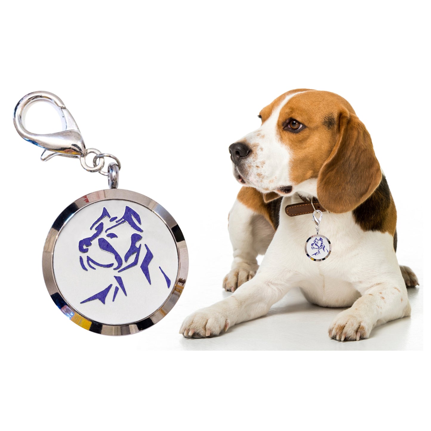 Pet Aromatherapy Necklace Diffuser Locket Pendant