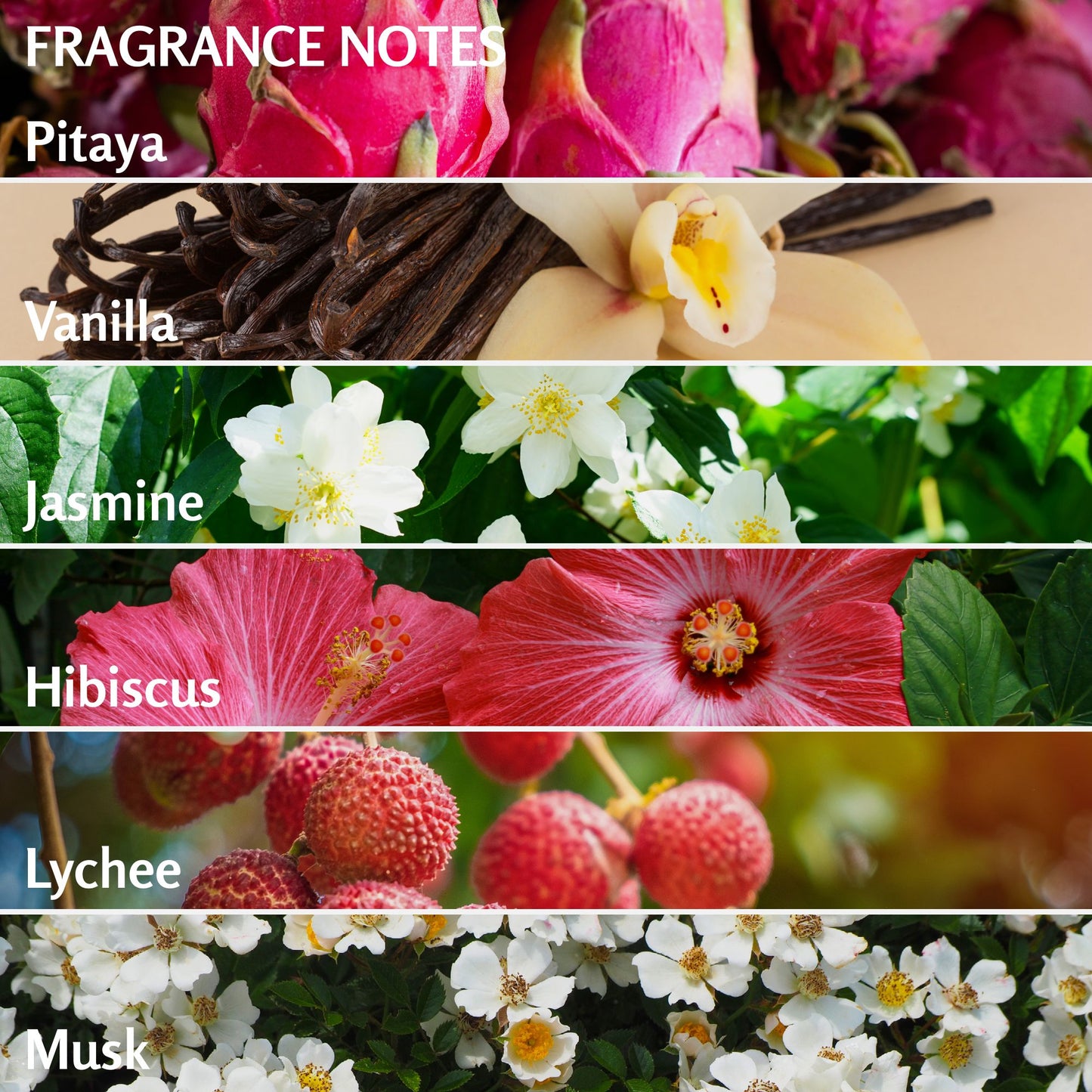 Solo En Ibiza Hydrating Body Cream - Nourishing Moisturizing Lotion