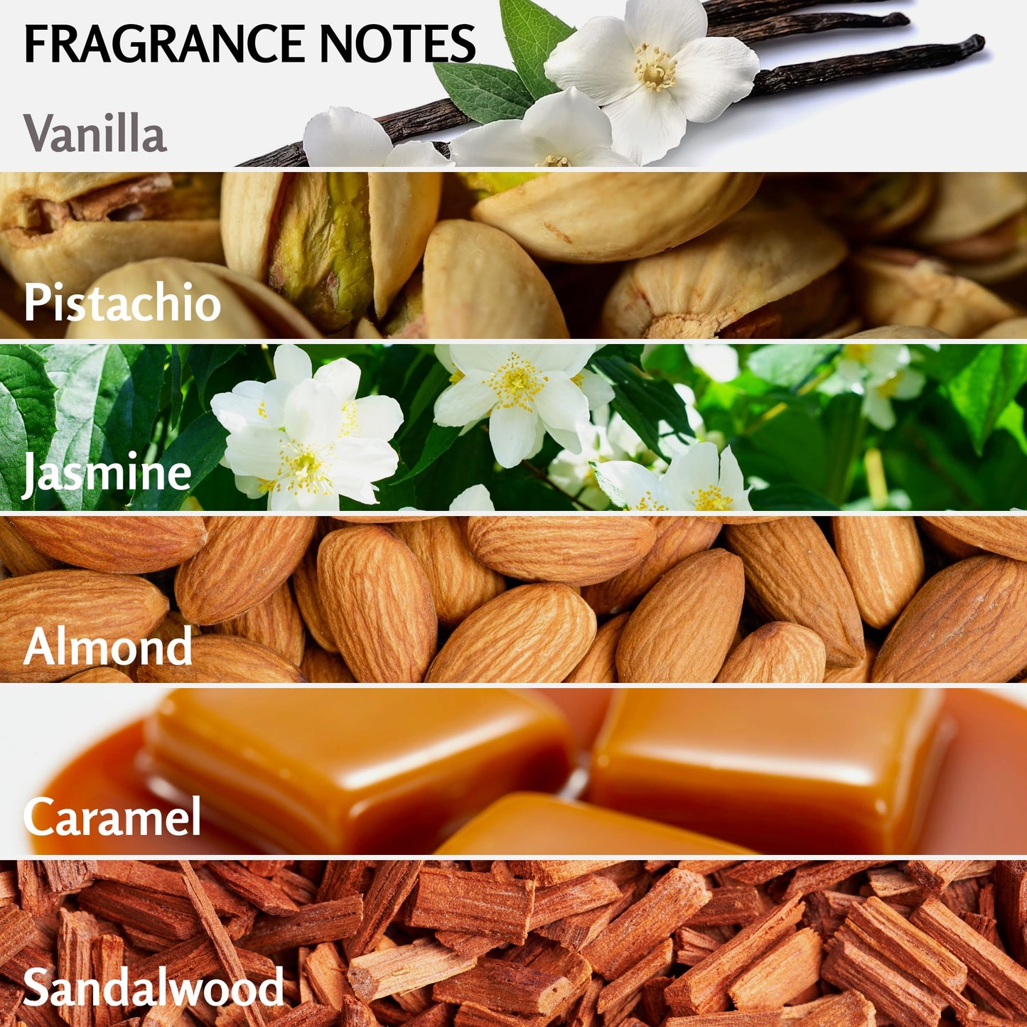 Solo En Ibiza Hydrating Body Cream - Nourishing Moisturizing Lotion