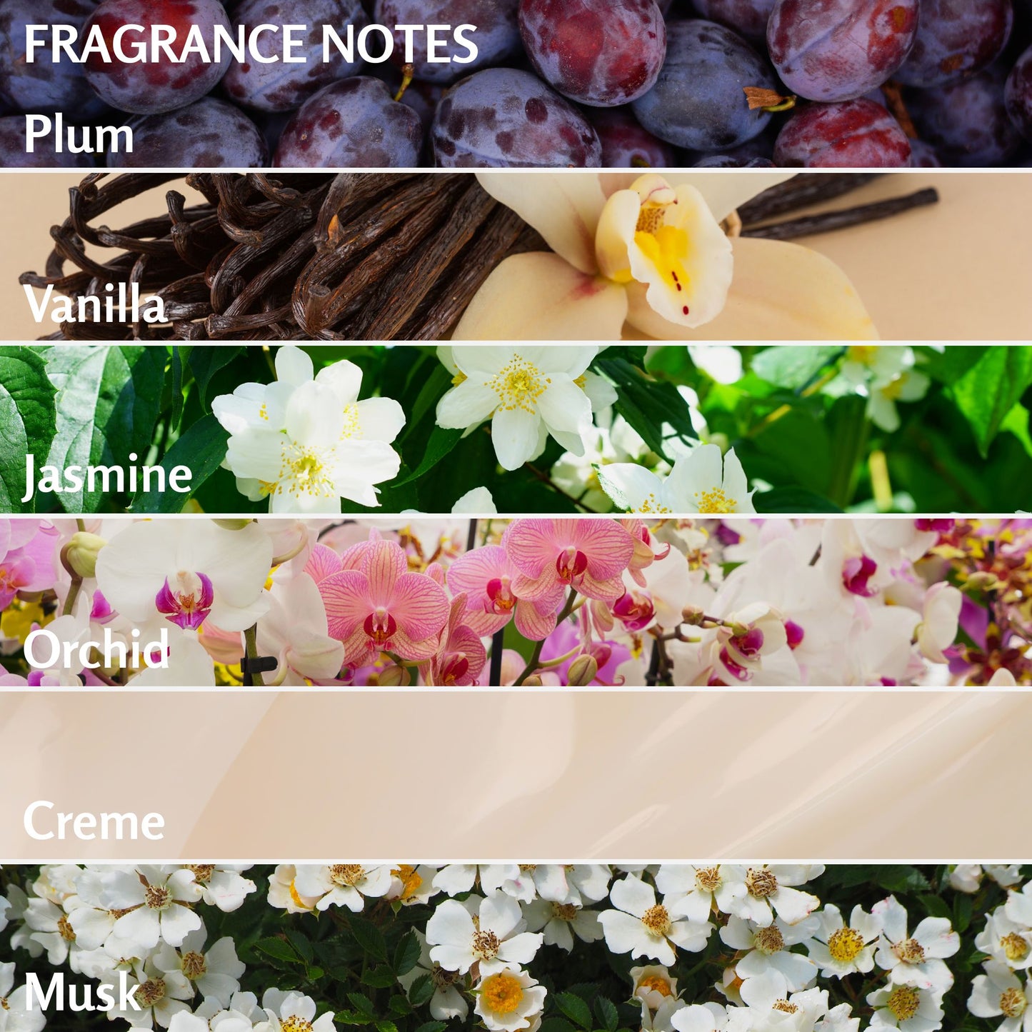 Solo En Ibiza Hydrating Body Cream - Nourishing Moisturizing Lotion