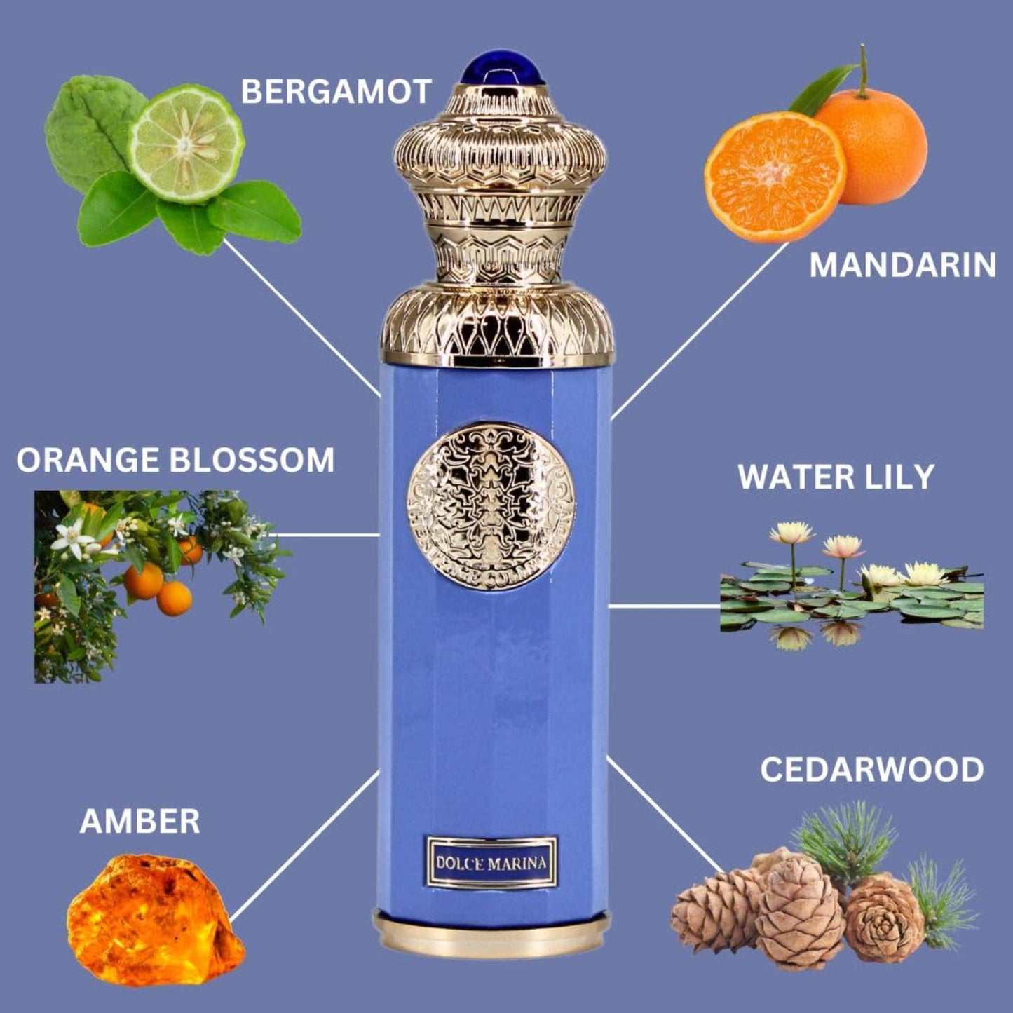 Surrati Heritage Dolce Marina 4.7 FL.OZ Perfume for Men and Women - Long-Lasting Unisex Arabian Luxury Perfume Fragrance