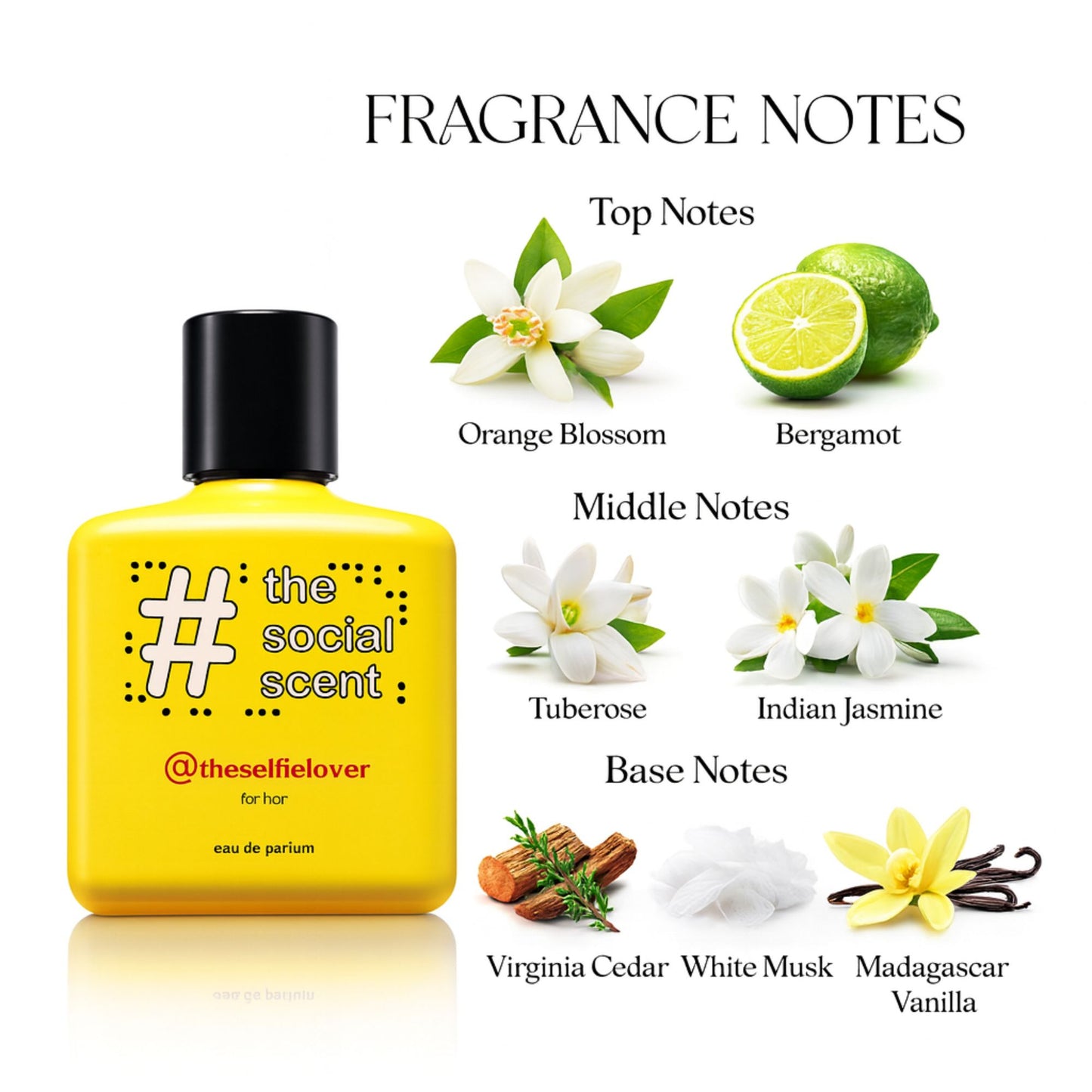 The Social Scent #THESELFIELOVER for Her Perfume 100ml – Long-Lasting Premium Fragrance – Daily Wear, Signature Scent, Elegant & Modern Design