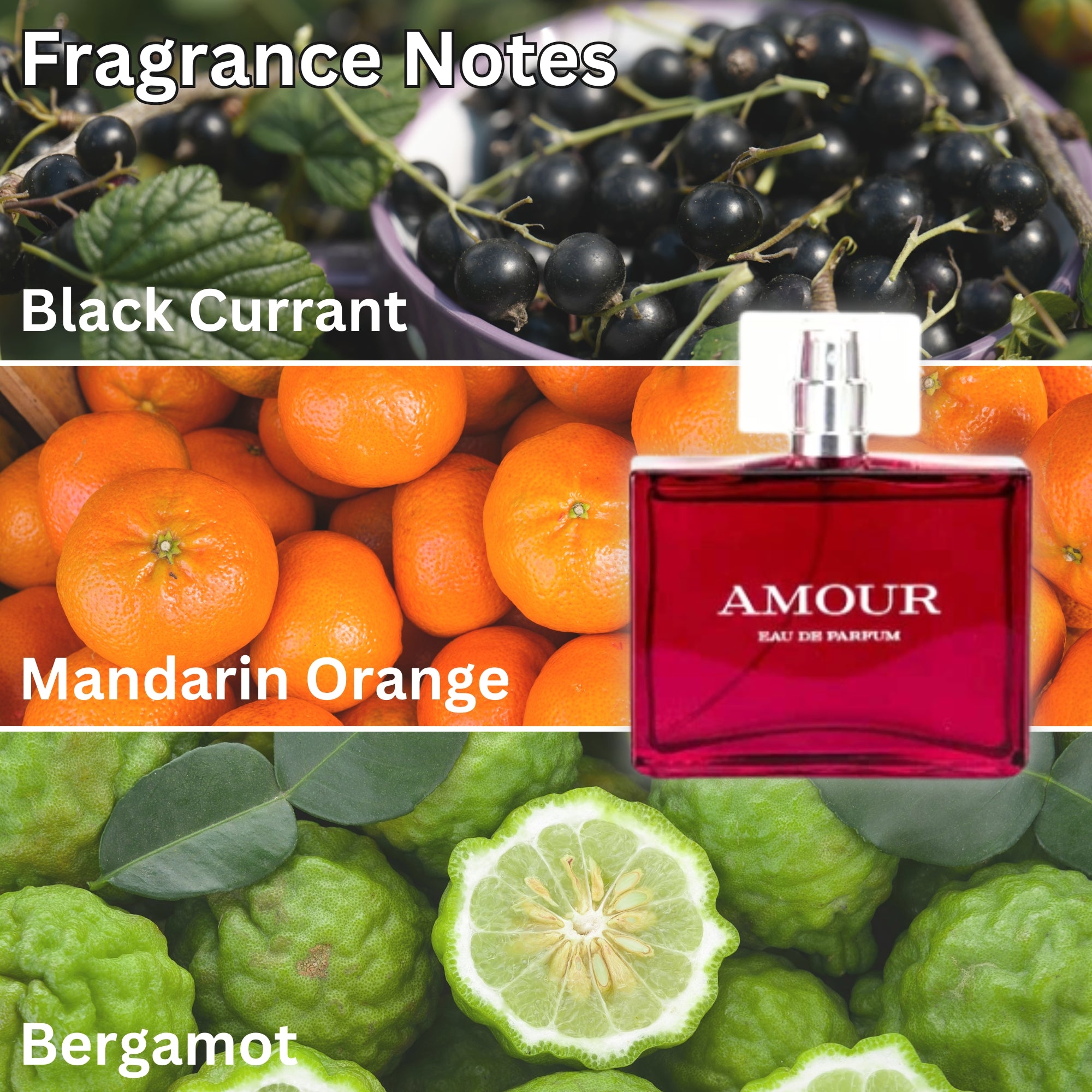 United Scents Amour Perfume 3.4FL.OZ