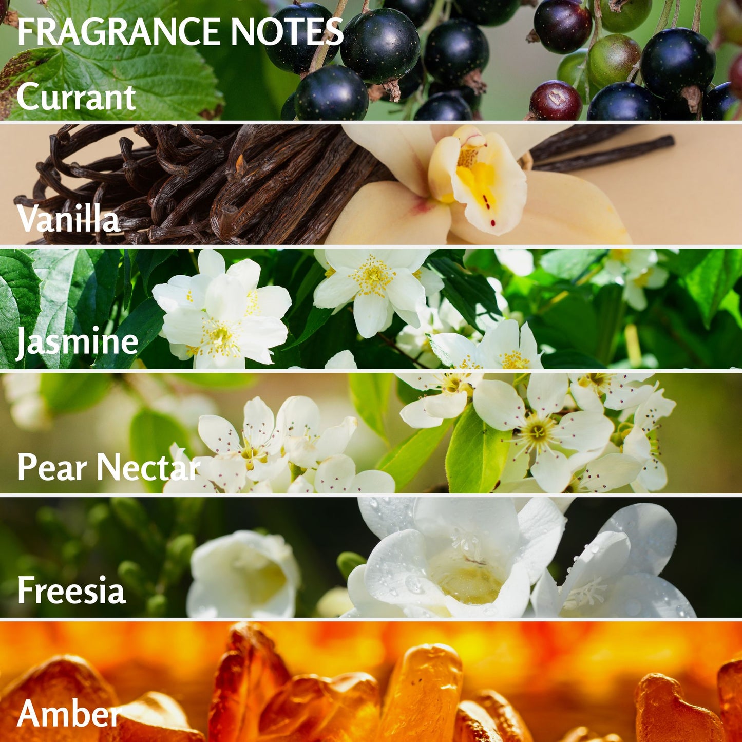 Solo En Ibiza Hydrating Body Cream - Nourishing Moisturizing Lotion