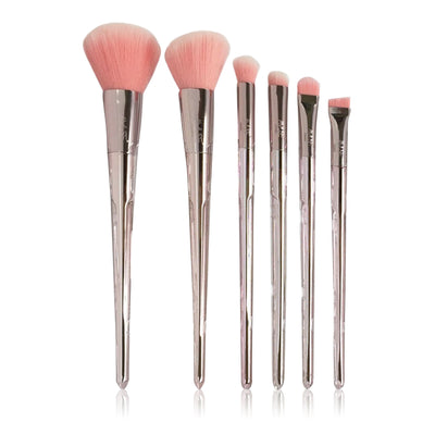 Set (6pcs) Professional Makeup Brush Kit