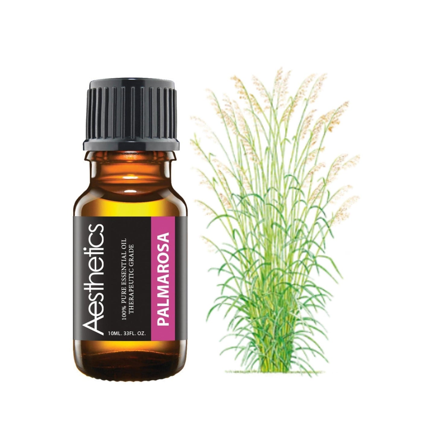 Aesthetics Naturals 6-Pack Essential Oils - Fall Blend